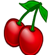 Cherry's Community - discord server icon