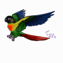 The Parrot Aviary - discord server icon