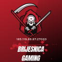 Brijesnica Gaming - discord server icon