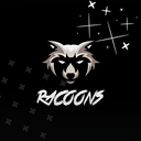 🦝ЯАСФФЛS🦝 - discord server icon