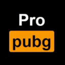 ProPubg - discord server icon