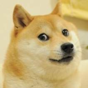 DOGE!!! - discord server icon