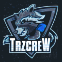 TinyRaccoonZ - discord server icon