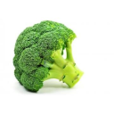 Broccoli - discord server icon