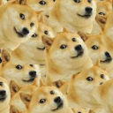 The Doge Empire - discord server icon