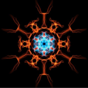 The Bookshelf - discord server icon