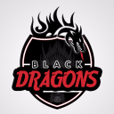 Black Dragons © - discord server icon