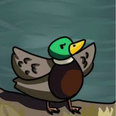 The Duck Clan - discord server icon