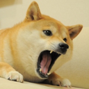 Doge Empire - discord server icon