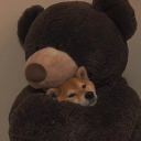 fluffy cartel - discord server icon