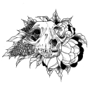 Coven of Bones [Global] - discord server icon