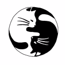 Repos des chats - discord server icon