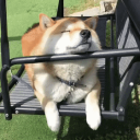Retard Center 2.0 - discord server icon
