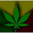 Pot Gamer's Central - discord server icon