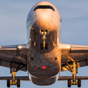 The Aviation Bug - discord server icon