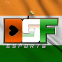 DSF | ESPORTS - discord server icon