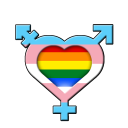 transMenschen.de - discord server icon