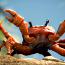 🦀crab rave🦀 - discord server icon
