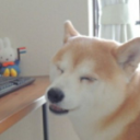 Home Away From Home - discord server icon
