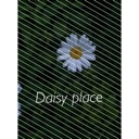 Daisy Place - discord server icon