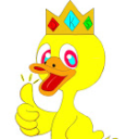 DuckKing's Offical Server - discord server icon