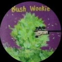 Bush Wookies - discord server icon