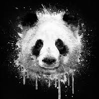 wild community - discord server icon