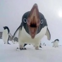 DANK MEMES (Skleptic YT) - discord server icon