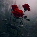 Untouchable Roses - discord server icon