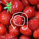 Strawberry Cult - discord server icon