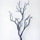 Tree Branch - discord server icon