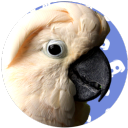 Parrot Town - discord server icon