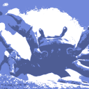 Crab Brave LLC - discord server icon