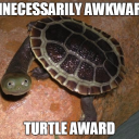 Awkward Turtles - discord server icon