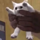 BattleCats Club - discord server icon
