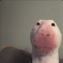 Meme Reviews - discord server icon