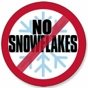 No SnowFlakes - discord server icon