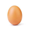 Can we get this egg to 5000 eggs? - discord server icon