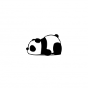 The Panda Territory - discord server icon