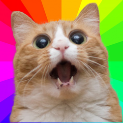 Cat Emotes - discord server icon