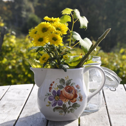 The Greenhouse | Archive - discord server icon