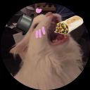 𝖚𝖜𝖚 𝖌𝖆𝖓𝖌 - discord server icon