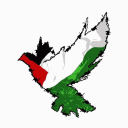 Palestine - discord server icon