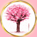 ♡ Cherry Blossom Café ♡ - discord server icon