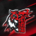 īlī┃TiGER WARRiORᴮᴰ OFFiCiAL - discord server icon