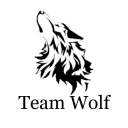 Team WOLF - discord server icon