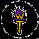 TW Scrims - discord server icon