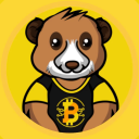 Meerkat Crypto - discord server icon