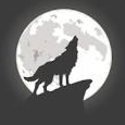 WolfStreetHours - discord server icon