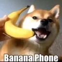 Banana Phone - discord server icon